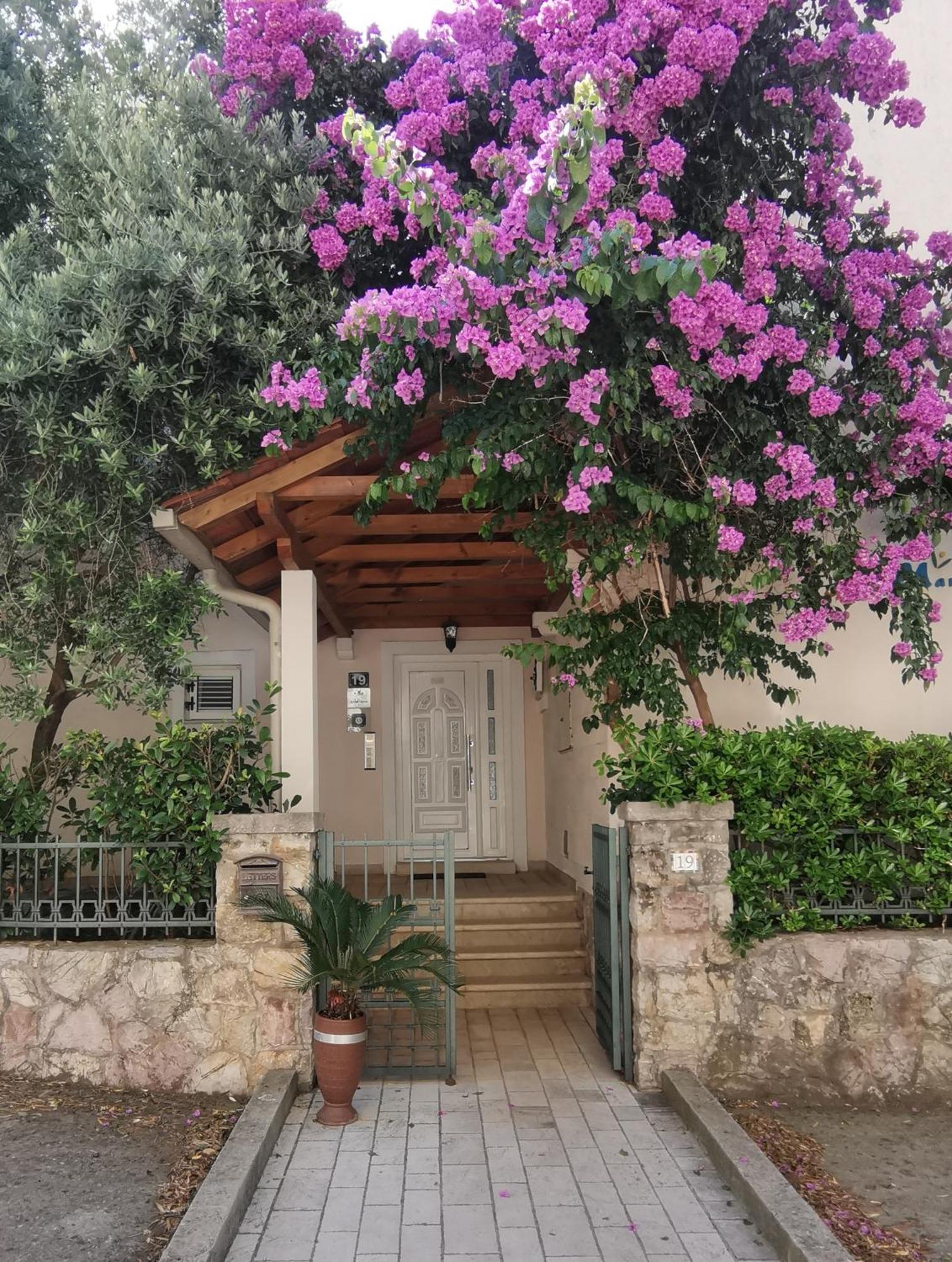Petrovac Apartments Maris מראה חיצוני תמונה