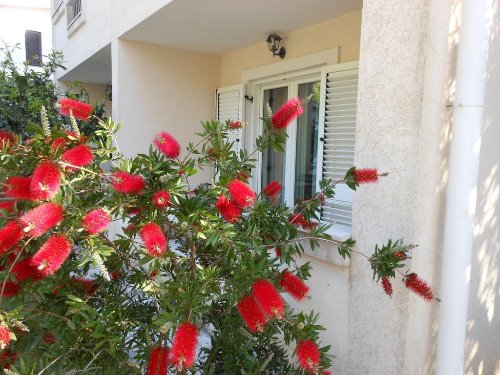 Petrovac Apartments Maris חדר תמונה